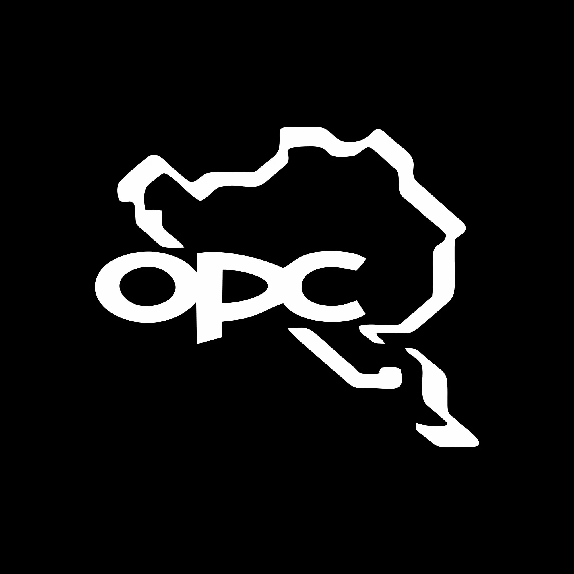 Opel Opc Nurburgring - imagine 2